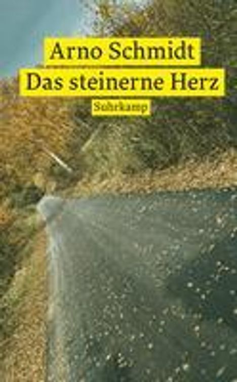 Arno Schmidt (geb. 1934): Das steinerne Herz, Buch