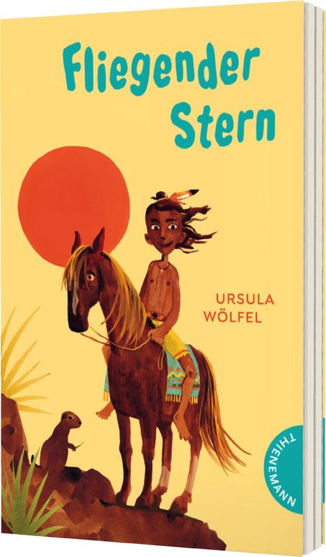 Ursula Wölfel: Fliegender Stern, Buch