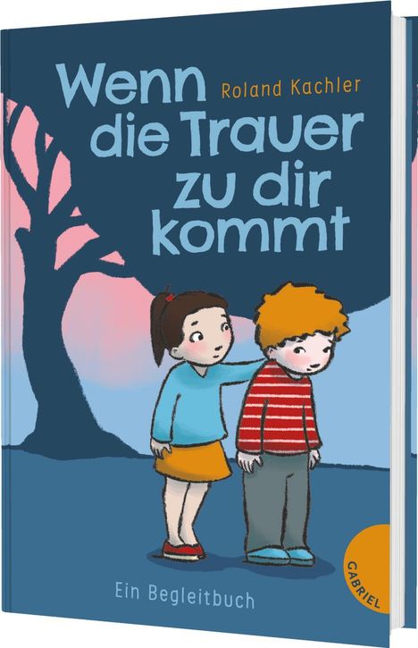 Roland Kachler: Wenn die Trauer zu dir kommt, Buch