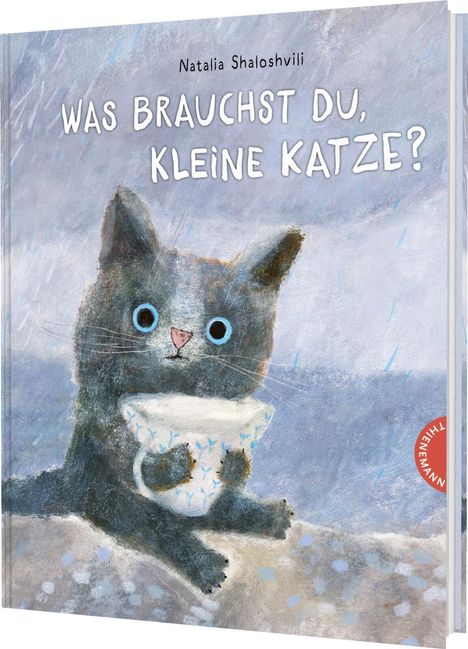 Cover/Produkt Ansicht vergrößern