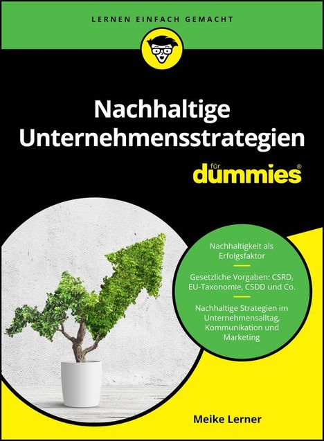 Meike Lerner: Nachhaltige Unternehmensstrategien für Dummies, Buch