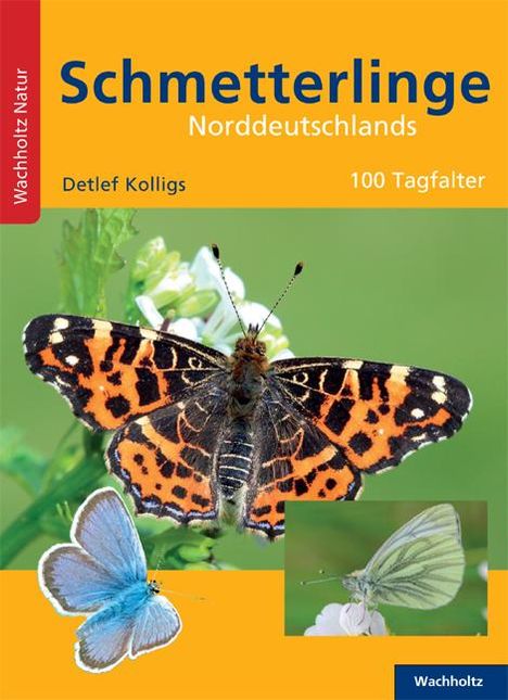 Detlef Kolligs: Kolligs, D: Schmetterlinge Norddeutschlands, Buch