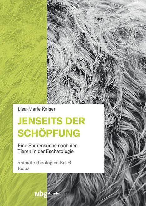 Lisa-Marie Kaiser: Jenseits der Schöpfung, Buch