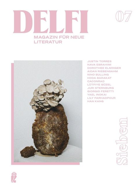 "Delfi, Magazin für neue Literatur, Ausgabe 07. Namen: Justin Torres, Nava Ebrahimi, Sieben. Ein Pilz auf Erde."