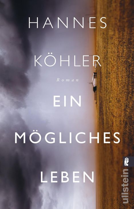 Hannes Köhler: Ein mögliches Leben, Buch
