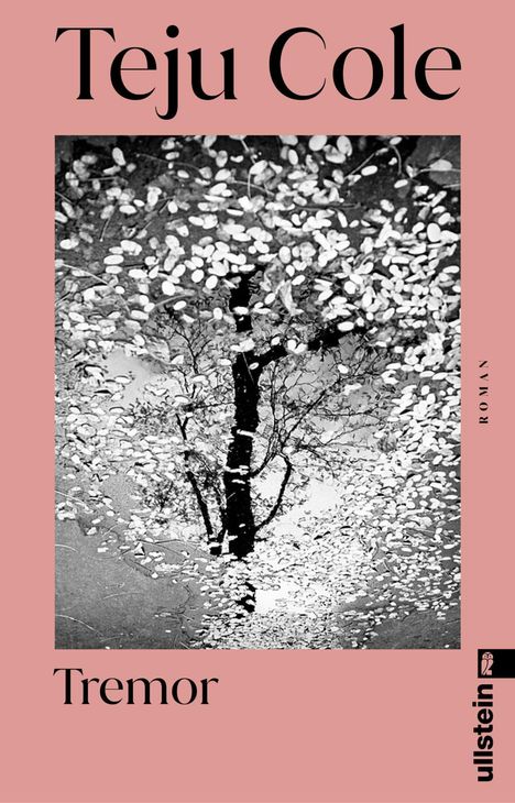 Teju Cole: Tremor, Buch
