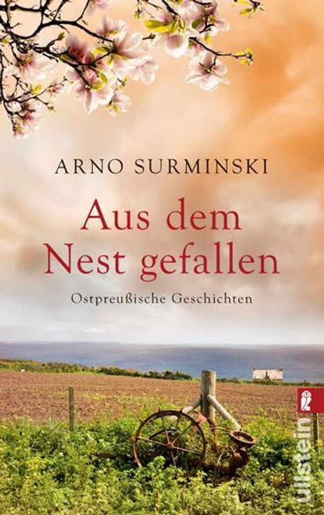 Arno Surminski: Surminski, A: Aus dem Nest gefallen, Buch