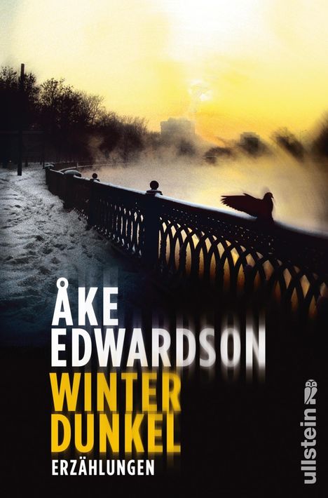 Åke Edwardson: Winterdunkel, Buch
