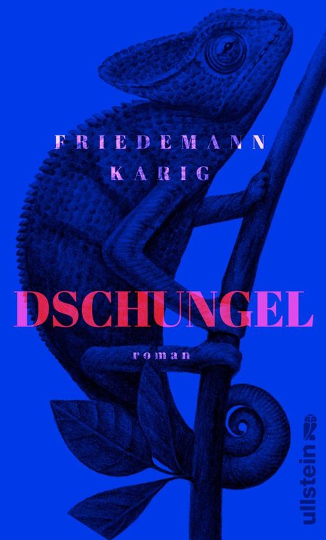 Friedemann Karig: Dschungel, Buch