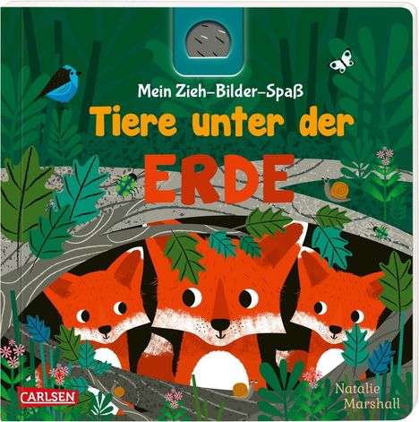 Julia Hofmann: Hofmann, J: Mein Zieh-Bilder-Spaß: Tiere unter der Erde, Buch