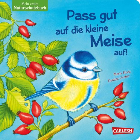 Maria Höck: Pass gut auf die kleine Meise auf, Buch