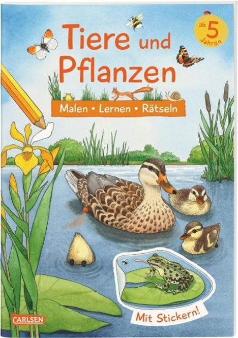 Lena Bachmann: Tiere und Pflanzen: Malen Lernen Rätseln, Buch