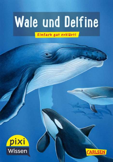 Cordula Thörner: Pixi Wissen 8: VE 5 Wale und Delfine, Buch