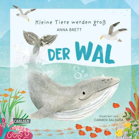 Anna Brett: Kleine Tiere werden groß - Der Wal, Buch
