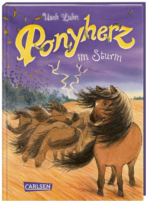 Usch Luhn: Ponyherz 14: Ponyherz im Sturm, Buch