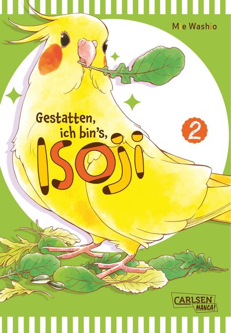 Mie Washio: Gestatten, ich bin's, Isoji! 2, Buch