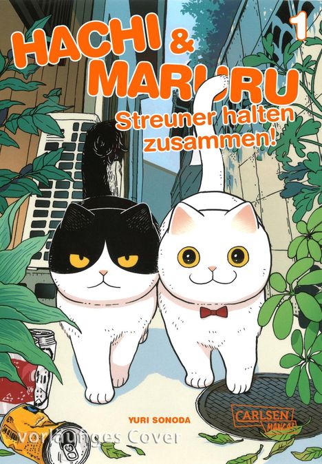 Yuri Sonoda: Hachi &amp; Maruru - Streuner halten zusammen! 1, Buch