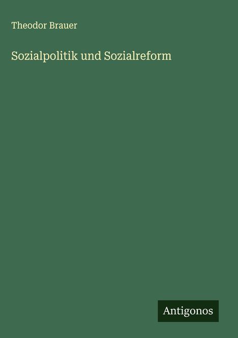 Theodor Brauer: Sozialpolitik und Sozialreform, Buch