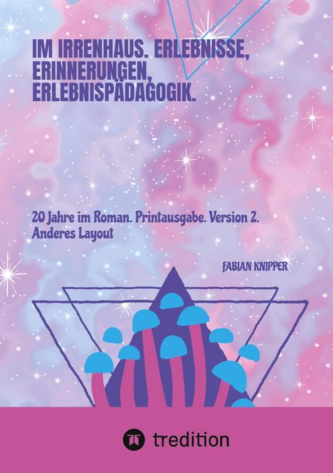 Text: Im Irrenhaus. Erlebnisse, Erinnerungen, Erlebnispädagogik. Hintergrund in Rosa und Blau mit geometrischen Formen.