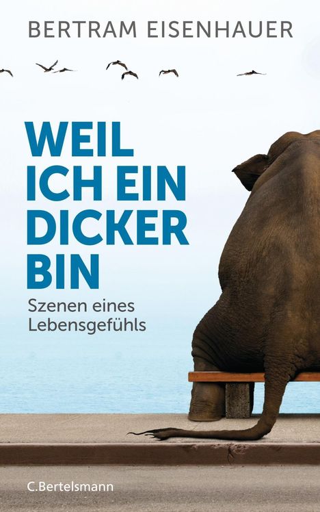 Bertram Eisenhauer: Weil ich ein Dicker bin, Buch