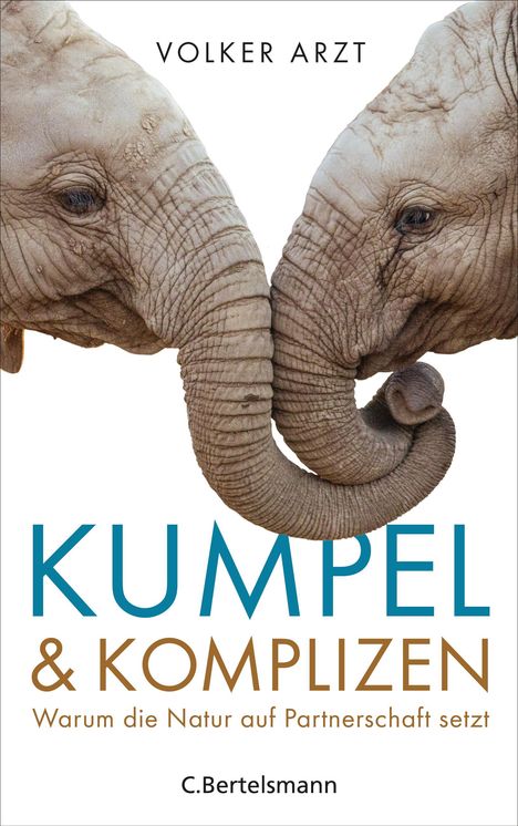 Volker Arzt: Arzt, V: Kumpel und Komplizen, Buch