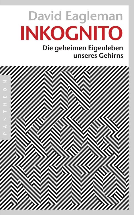 David Eagleman: Inkognito, Buch