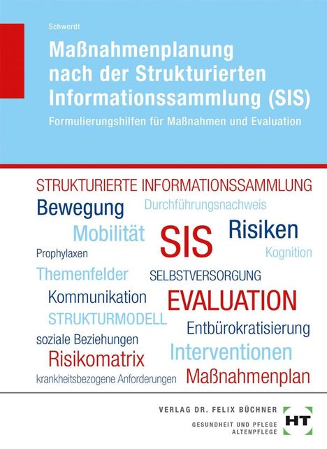 Christine Schwerdt: Maßnahmenplanung nach der Strukturierten Informationssammlung (SIS), Buch