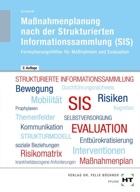 Christine Schwerdt: Maßnahmenplanung nach der Strukturierten Informationssammlung (SIS), Buch