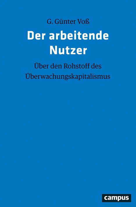 G. Günter Voß: Der arbeitende Nutzer, Buch