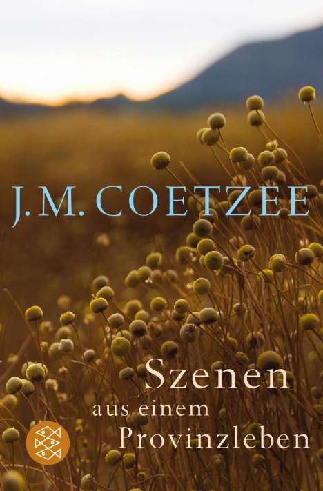 J. M. Coetzee: Szenen aus einem Provinzleben, Buch