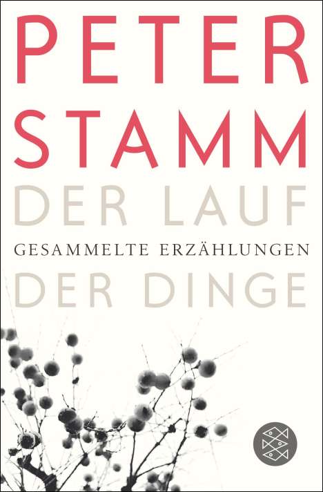 Peter Stamm: Der Lauf der Dinge, Buch
