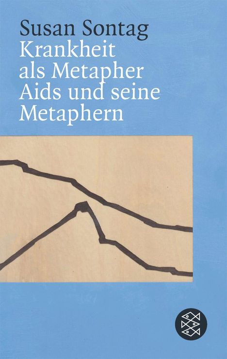 Susan Sontag: Krankheit als Metapher &amp; Aids und seine Metaphern, Buch