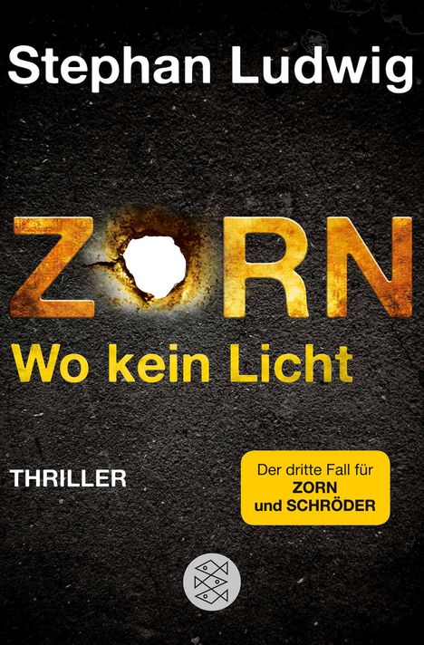 Stephan Ludwig: Zorn - Wo kein Licht, Buch