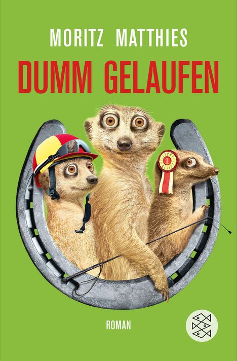 Moritz Matthies: Dumm gelaufen, Buch