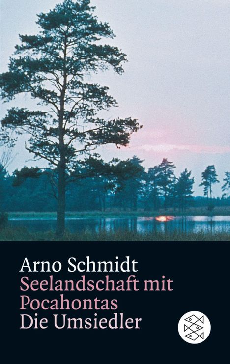 Arno Schmidt: Schmidt, A: Seelandschaft, Buch