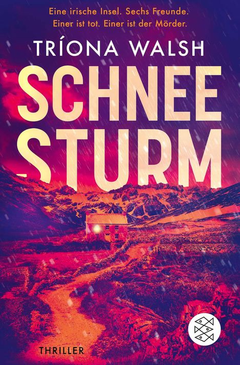 Tríona Walsh: Schneesturm, Buch