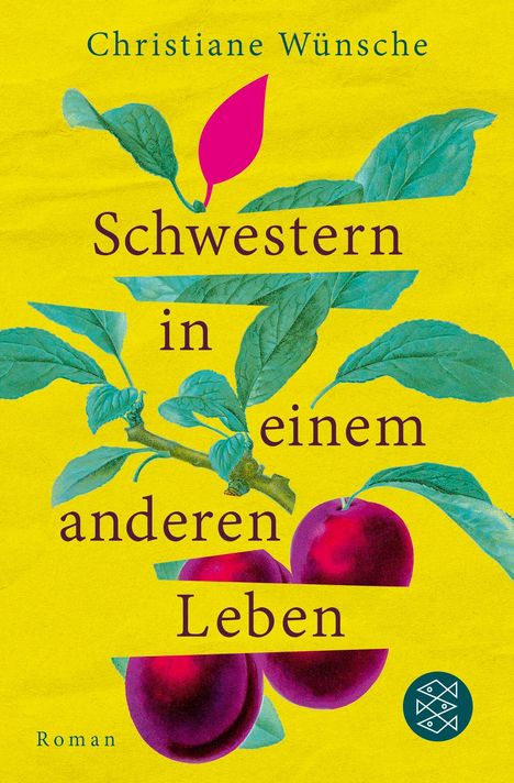 Christiane Wünsche: Schwestern in einem anderen Leben, Buch