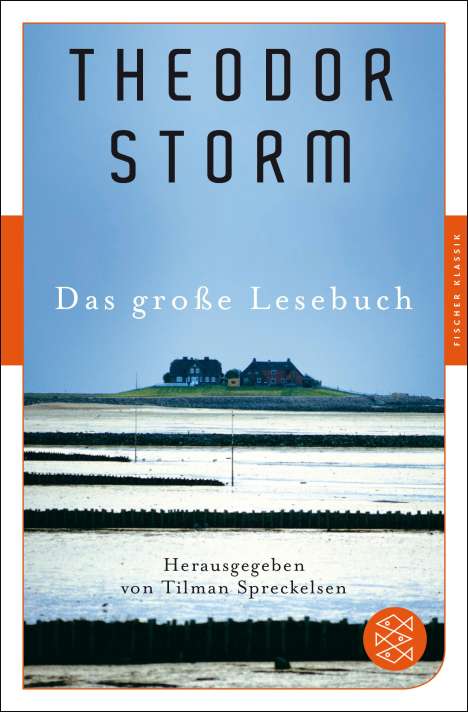 Theodor Storm: Das große Lesebuch, Buch