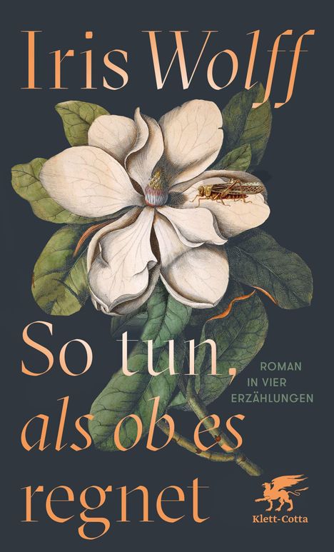 Iris Wolff: So tun, als ob es regnet, Buch