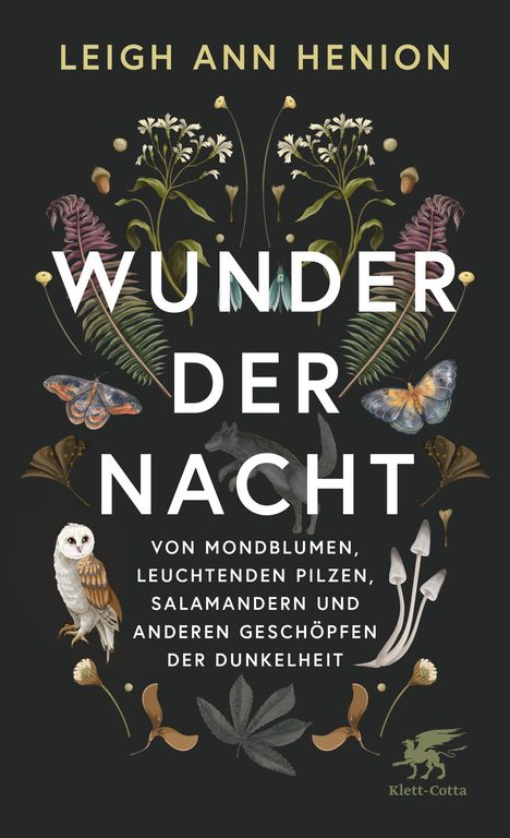 "Wunder der Nacht" von Leigh Ann Henion. Illustration mit Pflanzen, Schmetterlingen, Eule, Fuchs und Pilzen auf dunklem Hintergrund.