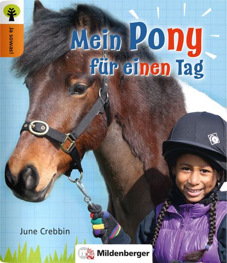 June Crebbin: Ja sowas! Mein Pony für einen Tag, Buch