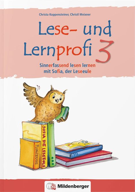 Christa Koppensteiner: Lese- und Lernprofi 3 NEU - Schülerarbeitsheft - silbierte Ausgabe, Buch