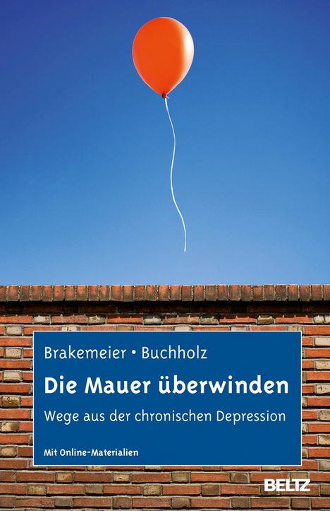 Eva-Lotta Brakemeier: Die Mauer überwinden, Buch