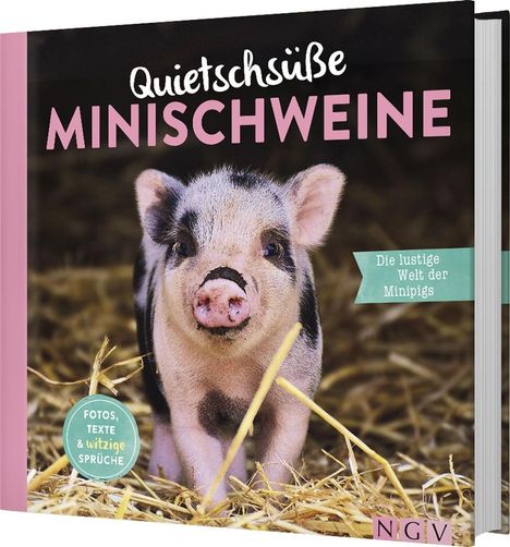 Katharina Bensch: Quietschsüße Minischweine, Buch