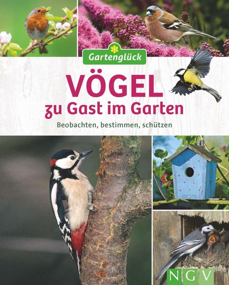 Axel Gutjahr: Vögel zu Gast im Garten, Buch