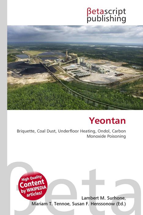 Yeontan, Briquette, Coal Dust, Underfloor Heating, Ondol, Carbon Monoxide Poisoning. Luftaufnahme einer Industrieanlage.