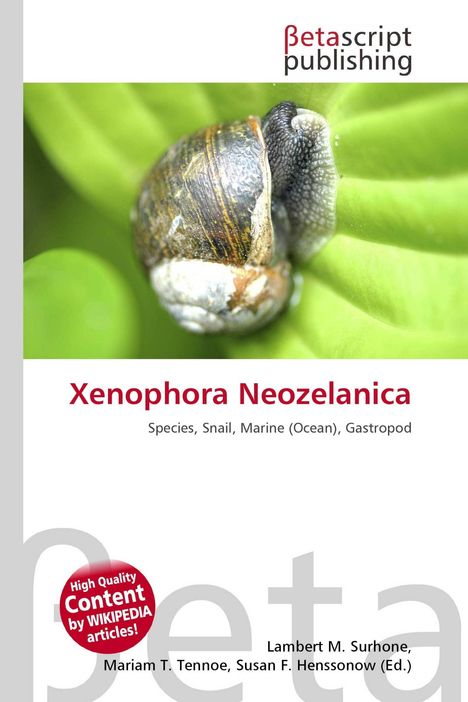"Xenophora Neozelanica", "Species, Snail, Marine (Ocean), Gastropod"; eine Schnecke auf einem grünen Blatt.