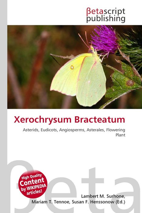 "Xerochrysum Bracteatum" und redaktionelle Namen. Ein Schmetterling auf einer lila Blüte.