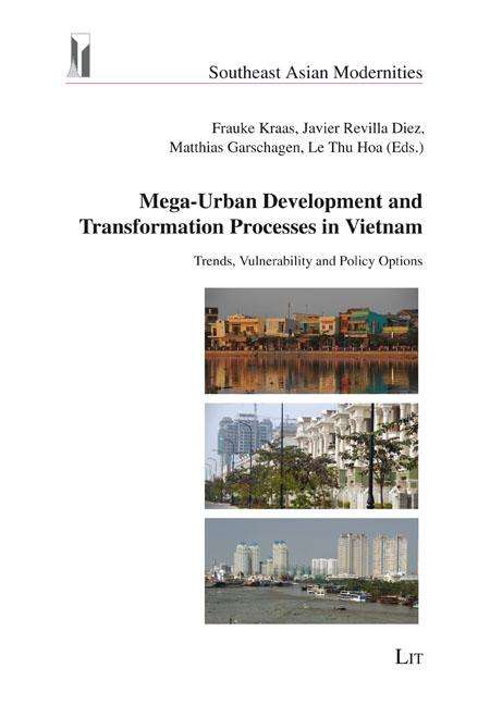 Mega-Urban Development and Transformation Processes in Vietnam, Buch