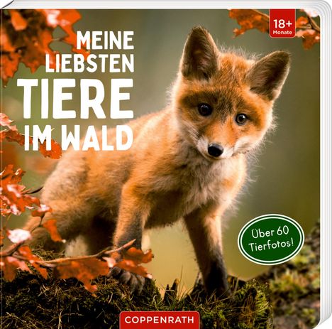 Meine liebsten Tiere im Wald, Buch